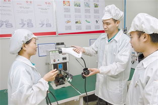 技术赋能未来 江门数字化发展的新篇章