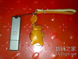 数字产品技术交流 构建开发者生态的关键平台